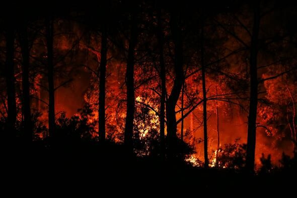 Bakan Pakdemirli: İzmir'deki orman yangınını kontrol altına aldık