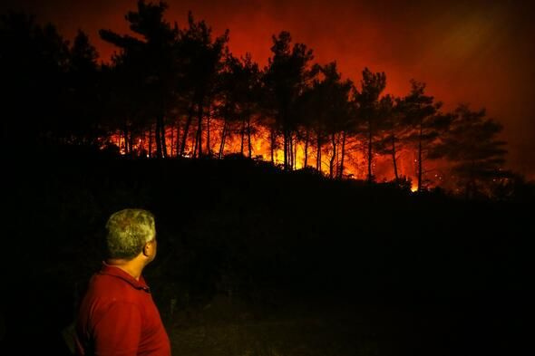 Bakan Pakdemirli: İzmir'deki orman yangınını kontrol altına aldık