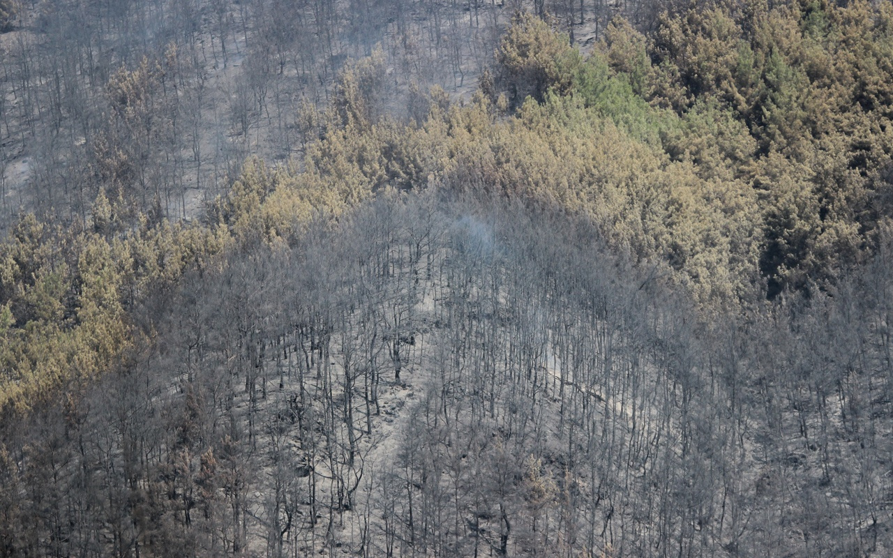 İzmir'deki büyük orman yangınına teknolojik müdahale