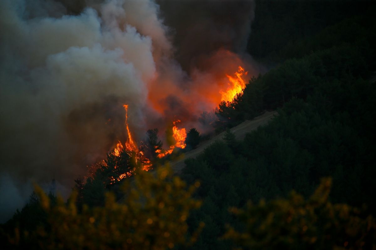 Seferihisar- Karabağlar - Menderes'e sıçradı! İzmir orman yangınında son durum