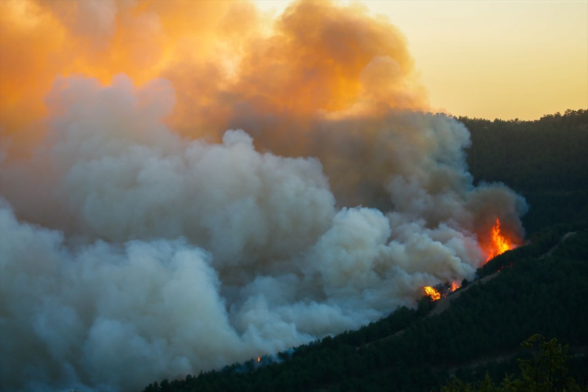 Seferihisar- Karabağlar - Menderes'e sıçradı! İzmir orman yangınında son durum