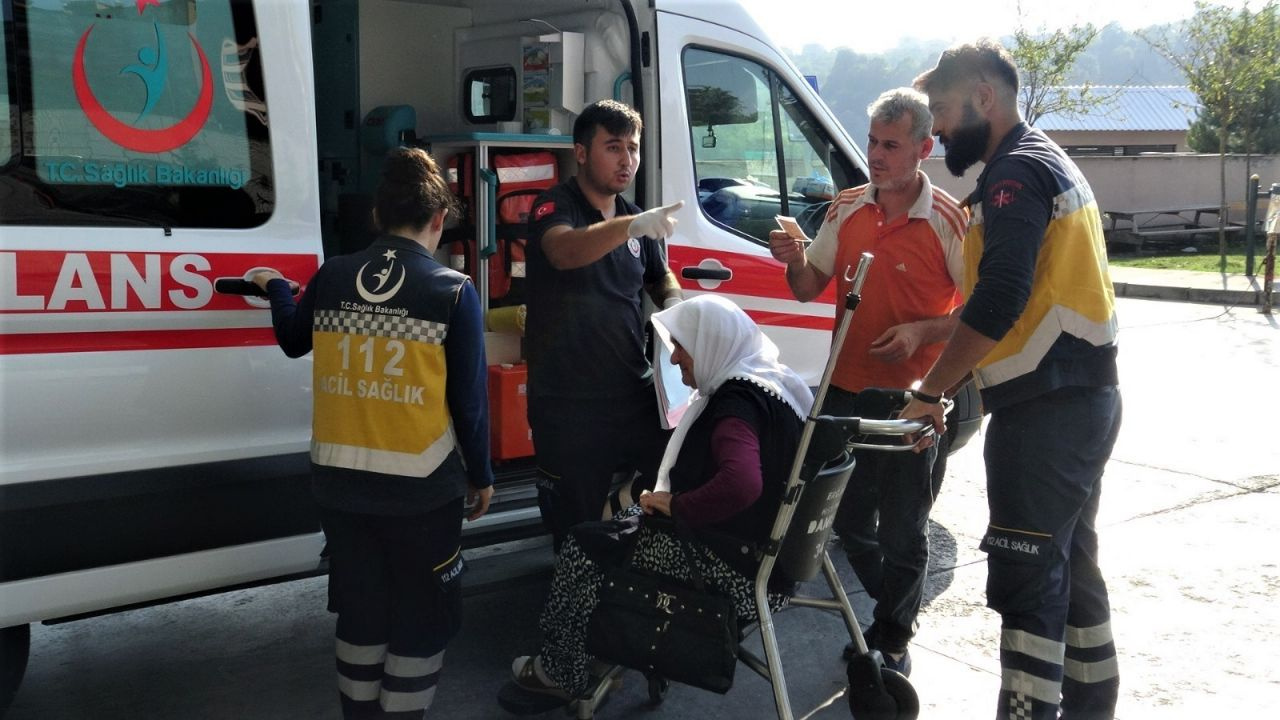 Zonguldak'ta yaşlı kadını çamaşır asarken yılan soktu
