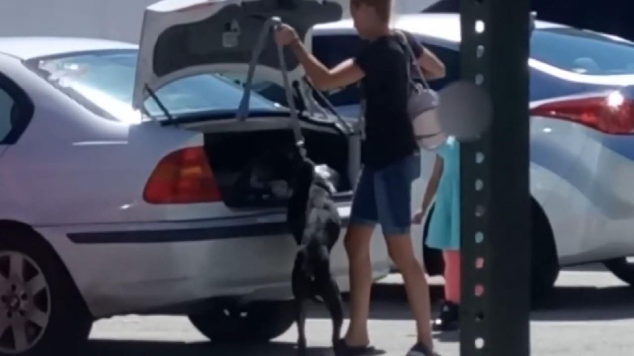 ABD'de bir kadın barınağa kabul edilmeyen köpeğini bagaja kilitledi