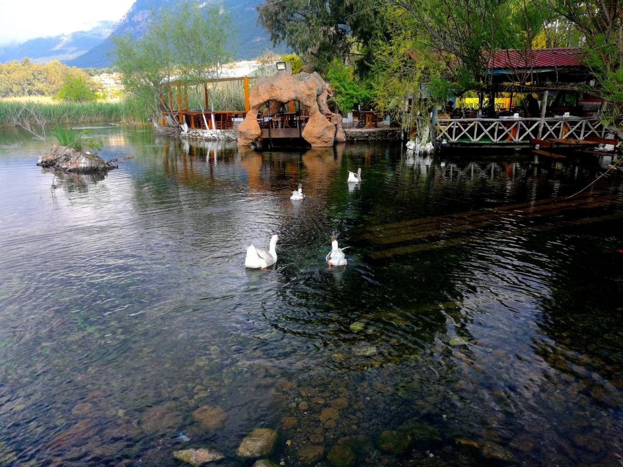 Muğla'da dünyaca ünlü yaylada maden arama başladı! Halk tepkisini koydu