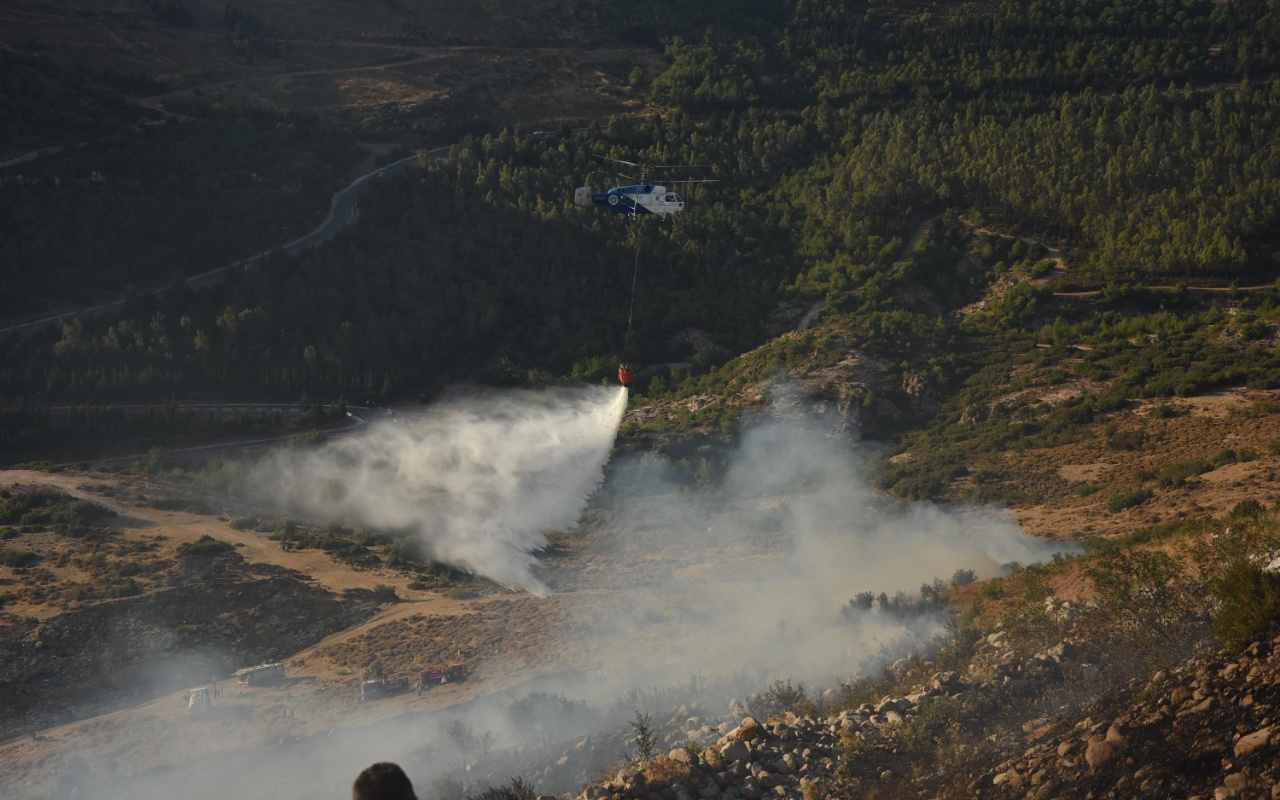 İzmir'de orman yangının çıktığı anlar kamerada