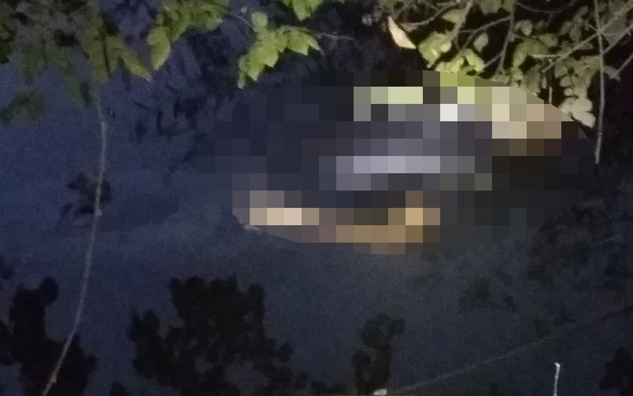 Bursa'da derede bir erkek cesedi daha bulundu