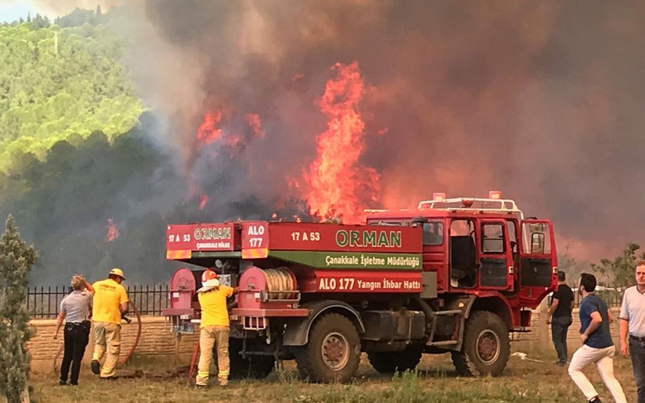 Çanakkale'de orman yangını