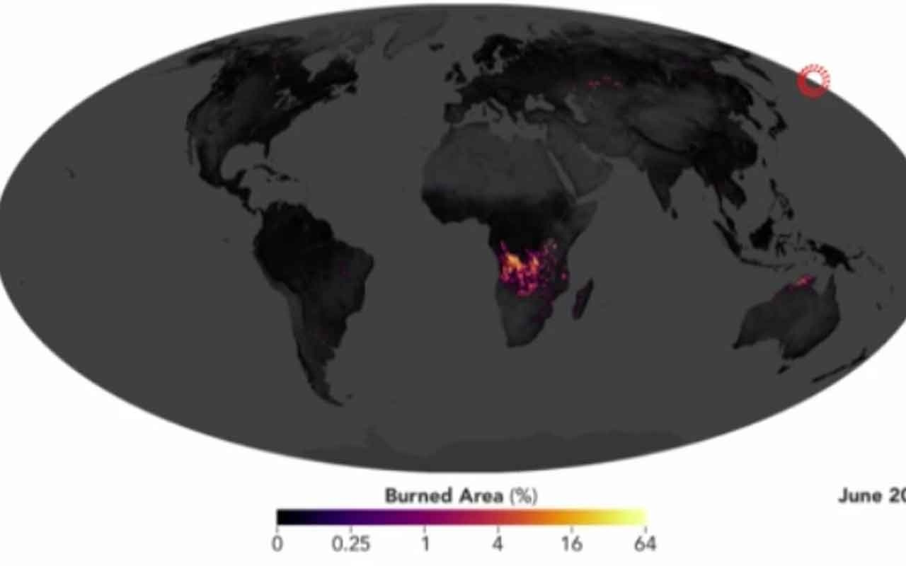 Afrika yanıyor ancak Amazonlar konuşuluyor