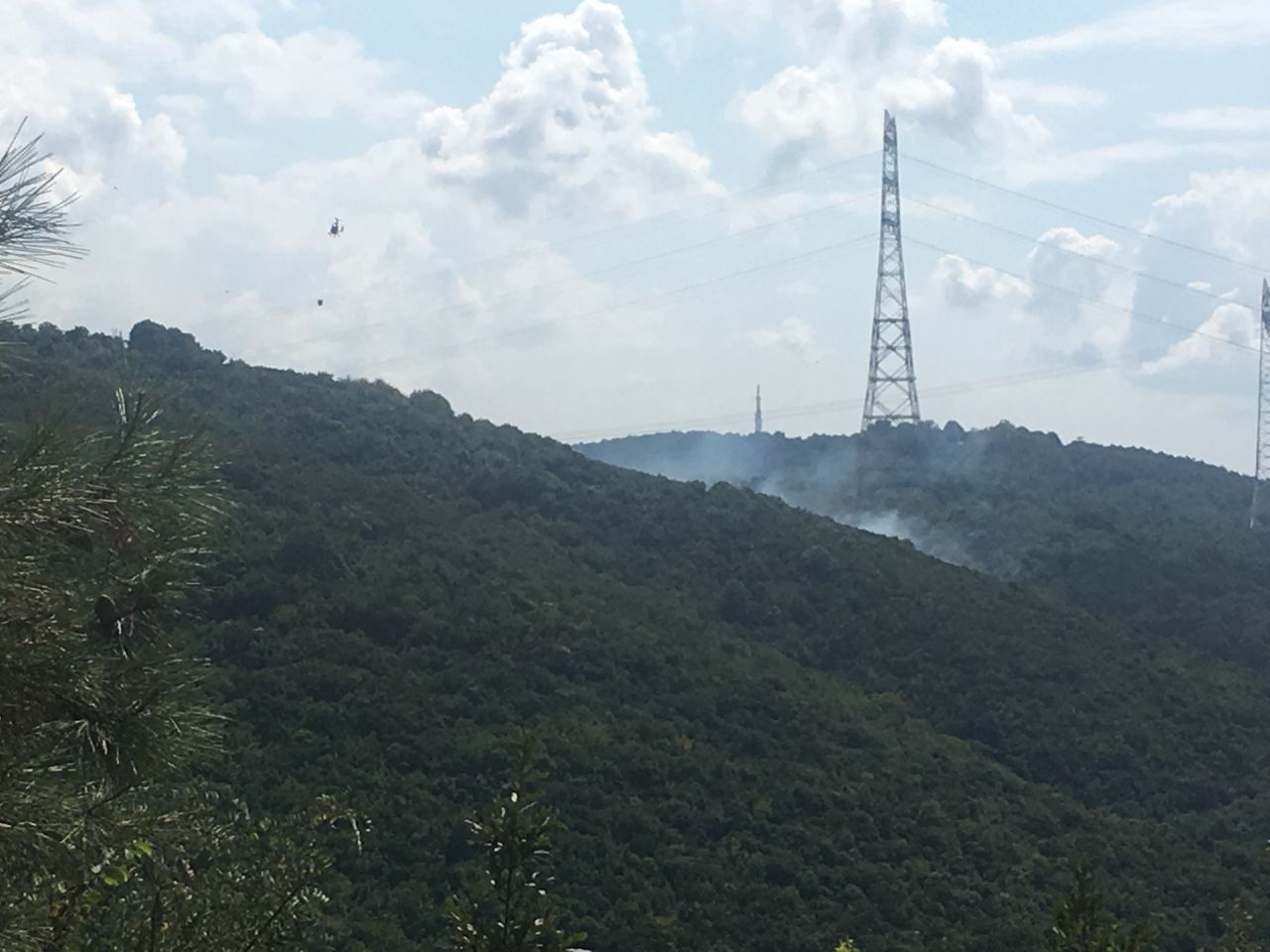 Anadolu Kavağı’nda korkutan orman yangını