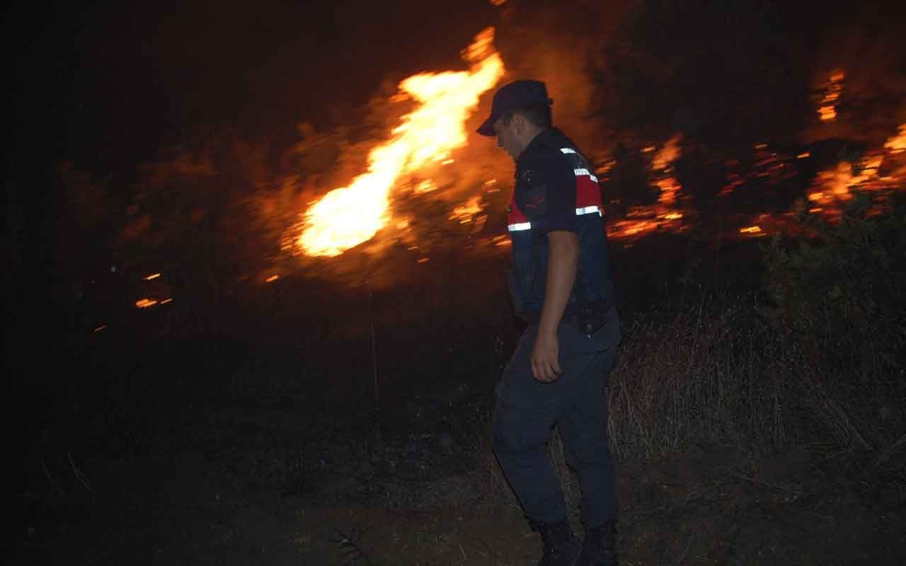 Tekirdağ Malkara'da orman yangını