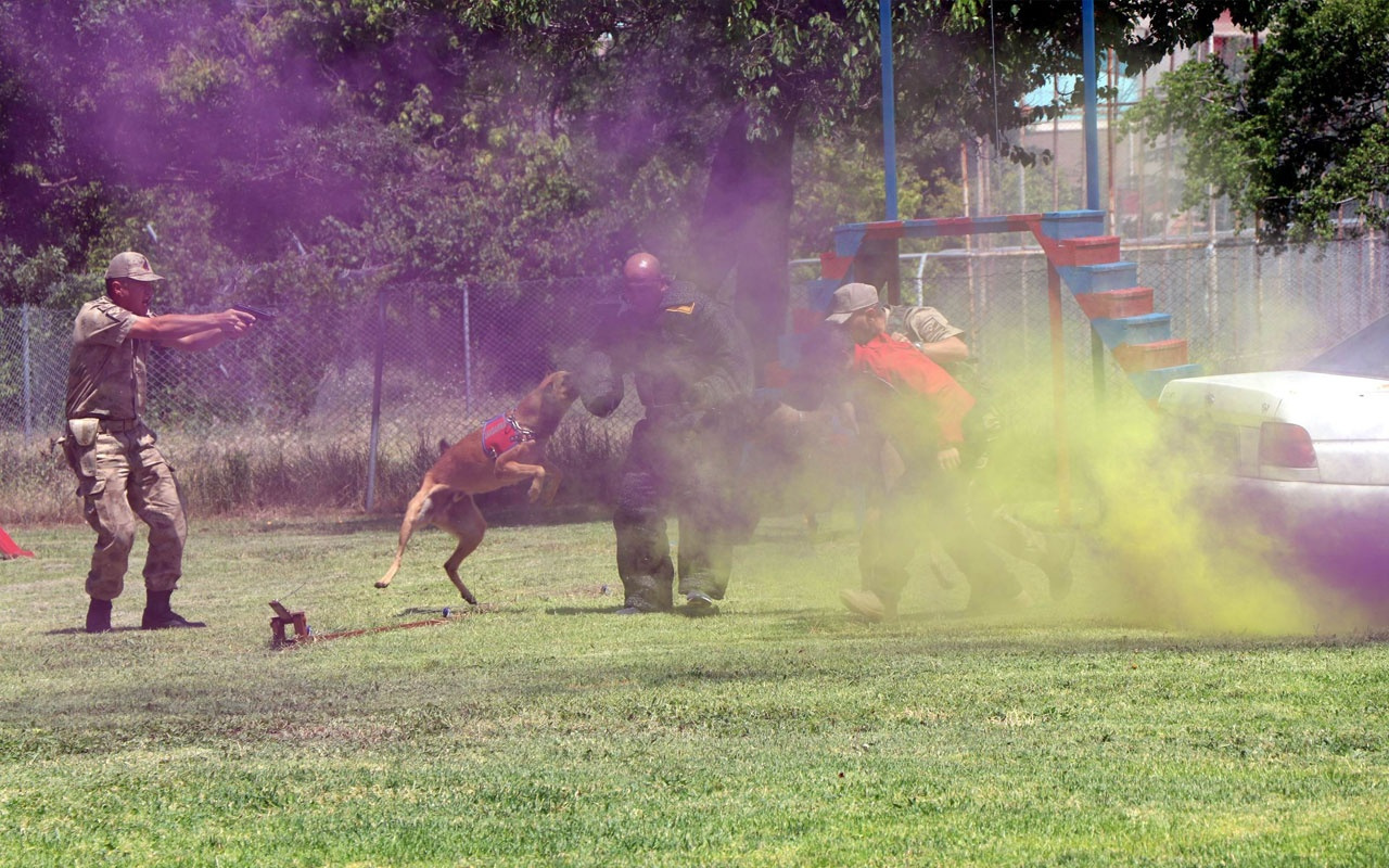 Jandarmanın operasyon köpekleri suçlulara göz açtırmıyor