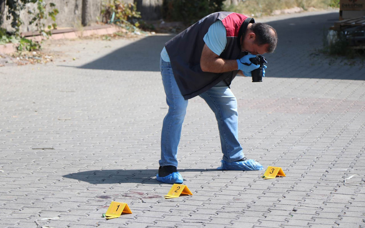 Kavga eden köpekleri ayırmak isterken katil oluyordu