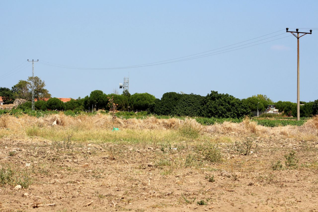 Çanakkale Savaşları'ndan kalma şehitlik 104 yıl sonra bulundu