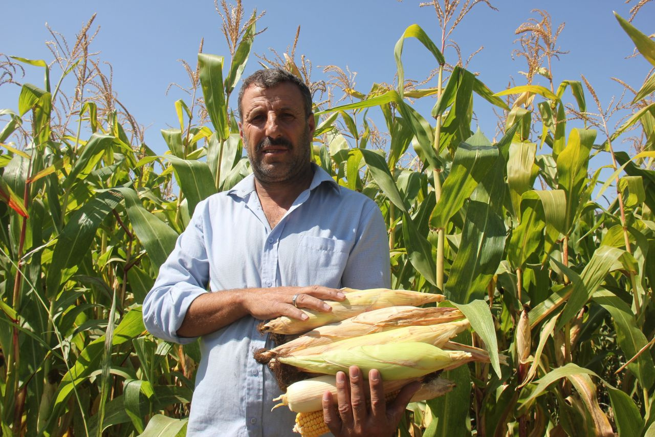 Erdoğan talimat vermişti! 733 milyonluk yatırım bitmeden çiftçiye katkı sağlamaya başladı