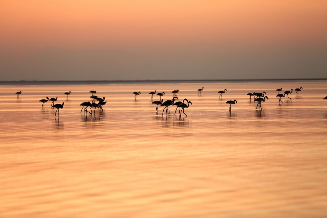 Tuz Gölü'nün gün batımındaki eşsiz güzelliği hayran bırakıyor