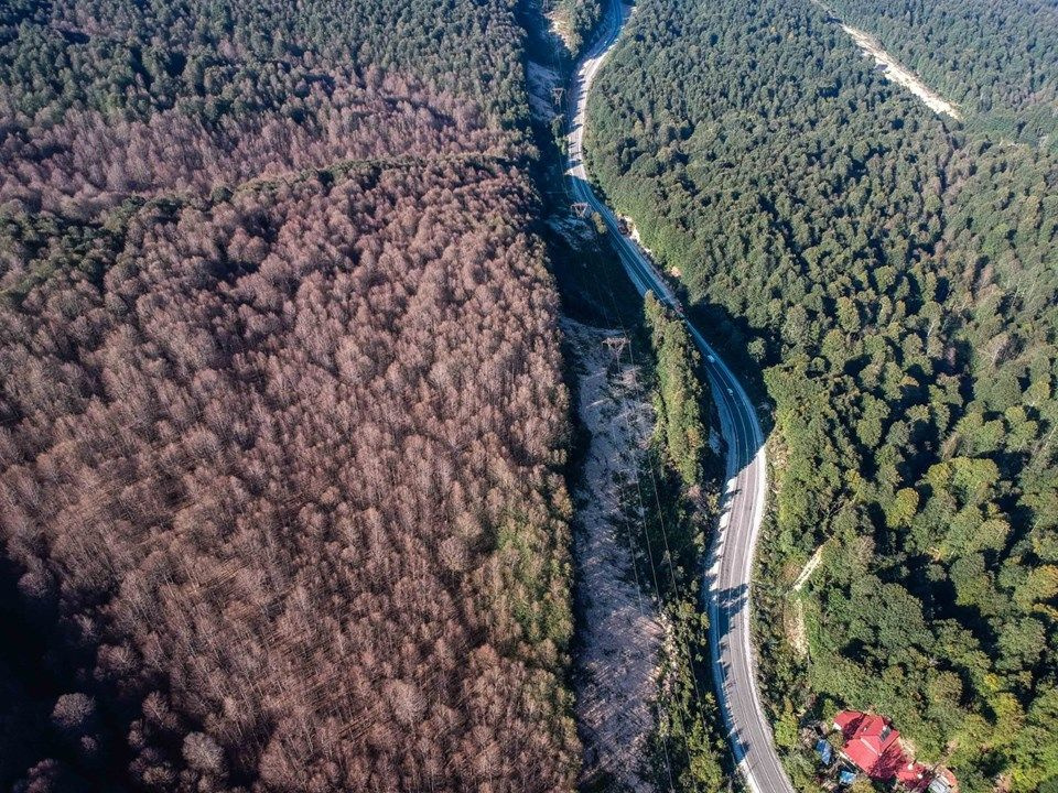 Kütahya ve Bursa'da orman bu hale geldi! Sebebi ise yangın değil