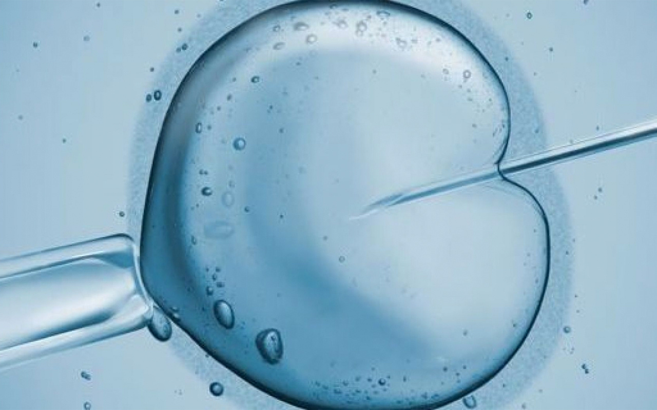Tüp bebekte sperm az veya yoksa ne yapılır? Cinsel ilişki sakancalı mı?