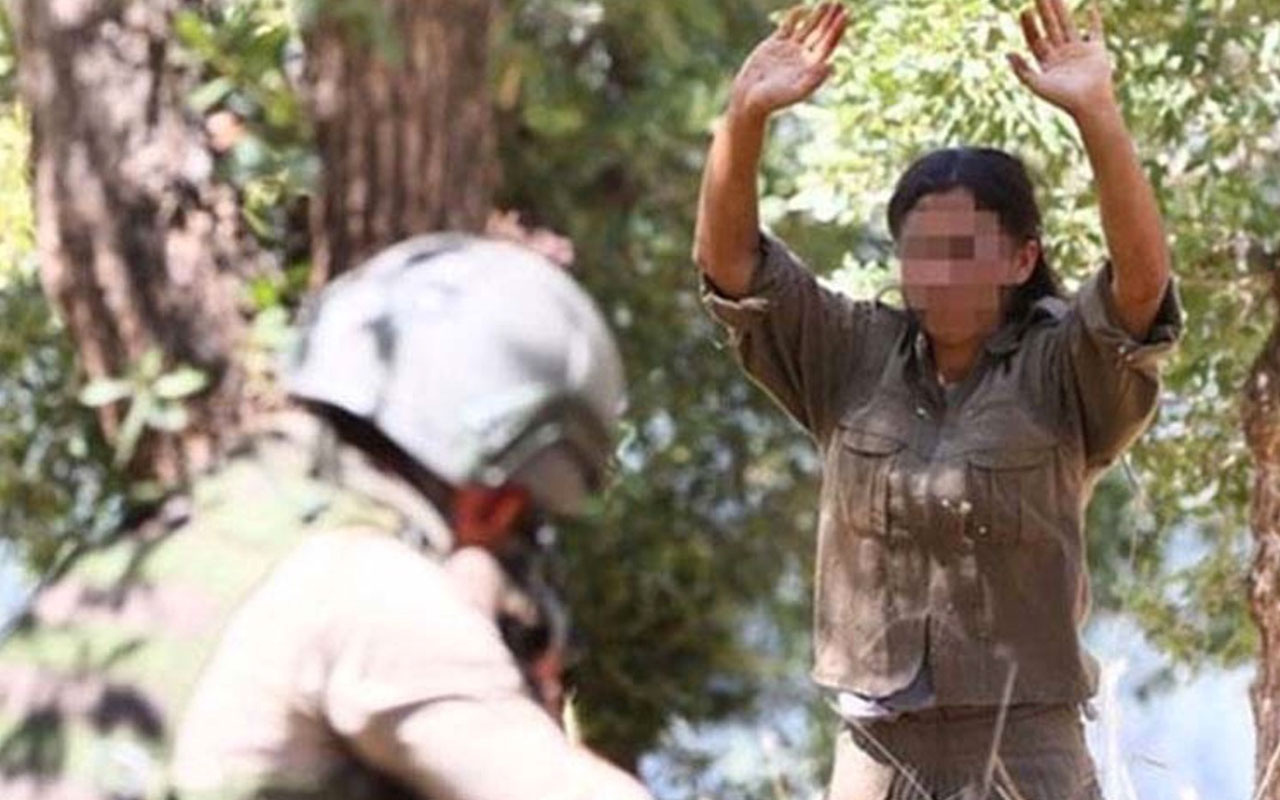 Çözülme devam ediyor! Silopi'de 4'ü kadın 6 PKK'lı terörist teslim oldu
