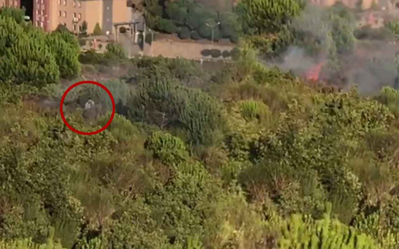 Terörist Aydos ormanını yakarken kameraya yakalandı işte görüntü