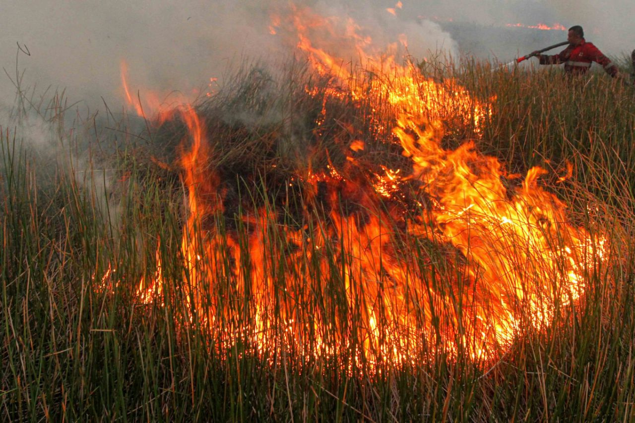 Endonezya'da 40 milyon kişi tehlikede! Orman yangınları nedeniyle hava kirliliği 23 kat arttı