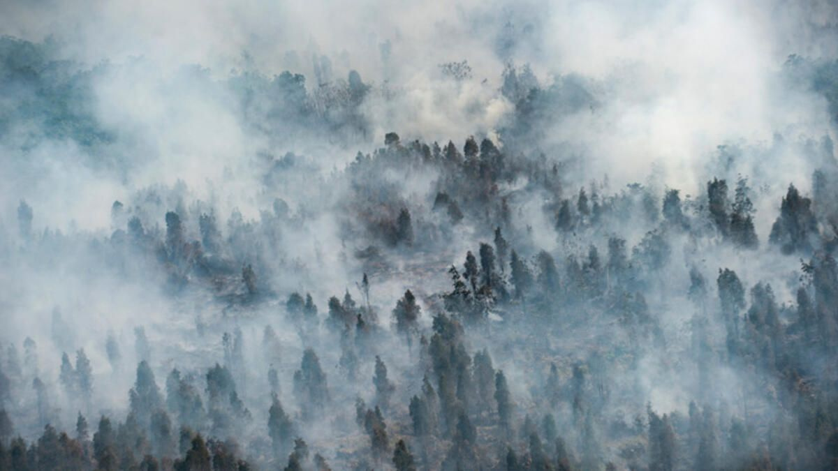 Endonezya'da 40 milyon kişi tehlikede! Orman yangınları nedeniyle hava kirliliği 23 kat arttı
