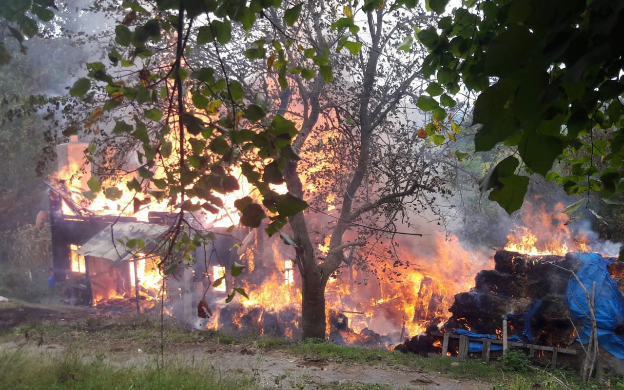 Sinop’ta ahşap ev alevlere teslim oldu