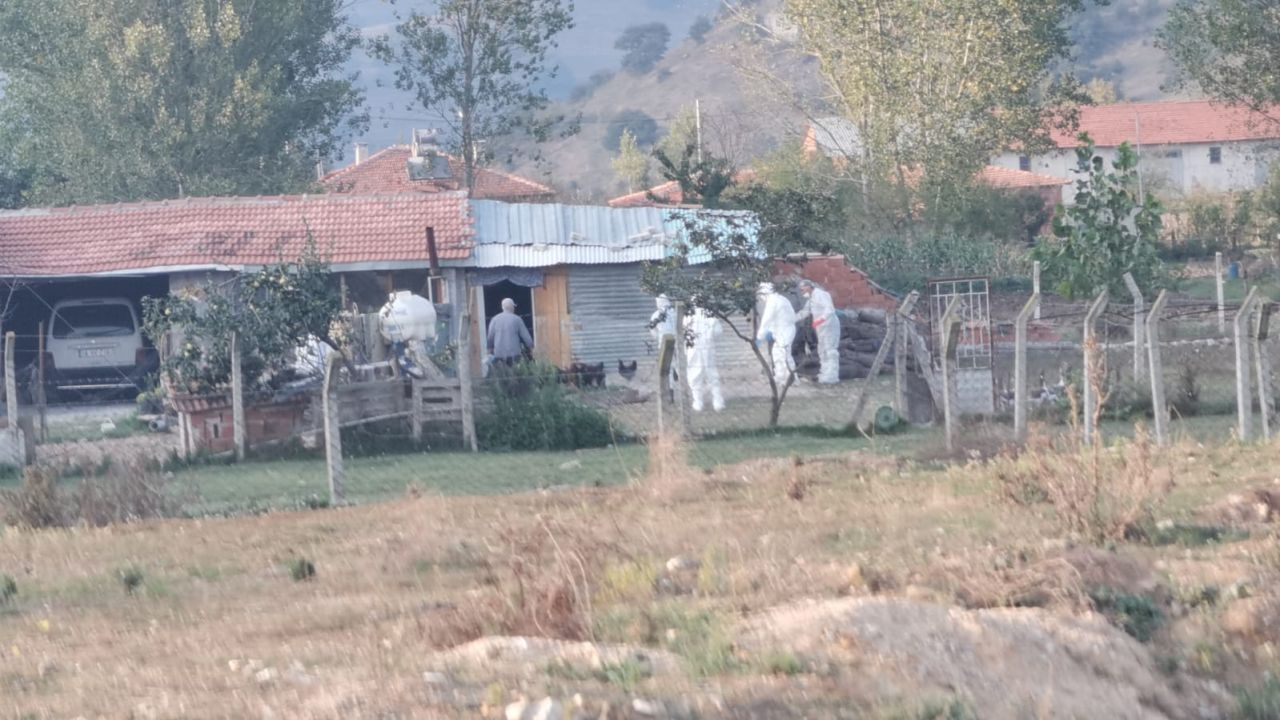 Bursa'da 6 bin tavuk ölüsü bulundu! Bir mahalle karantinaya alındı