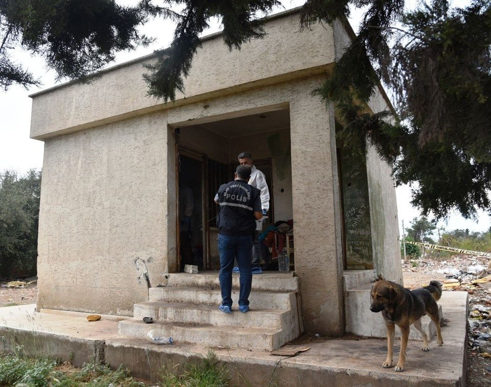 Sahibi ölen köpeğin 1 hafta boyunca yaptığı herkesi şaşırttı