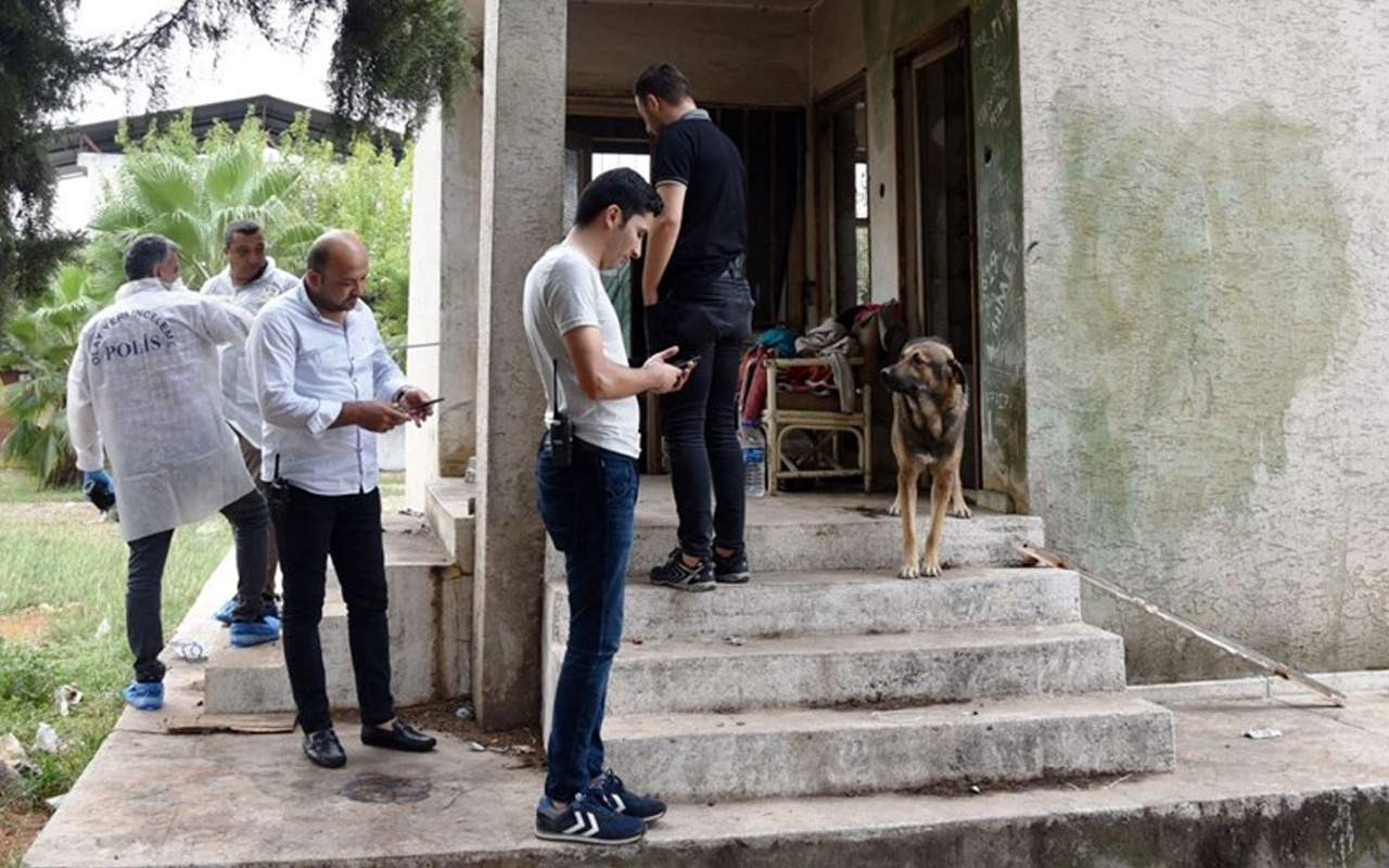 Sahibi ölen köpeğin 1 hafta boyunca yaptığı herkesi şaşırttı