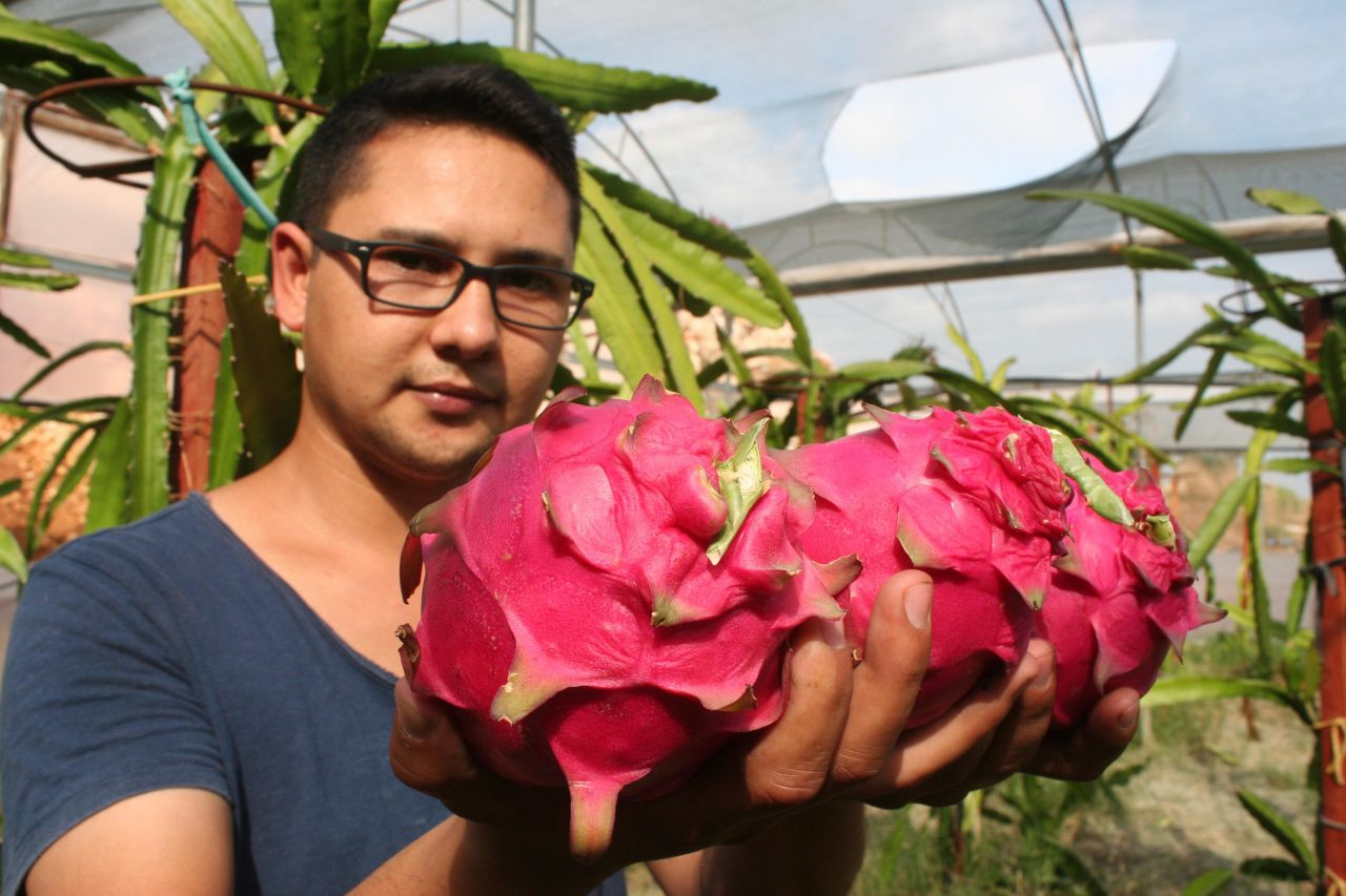 Tanesi 20 lira! Pitaya çiftçiyi zengin edecek pazar sorunu yok