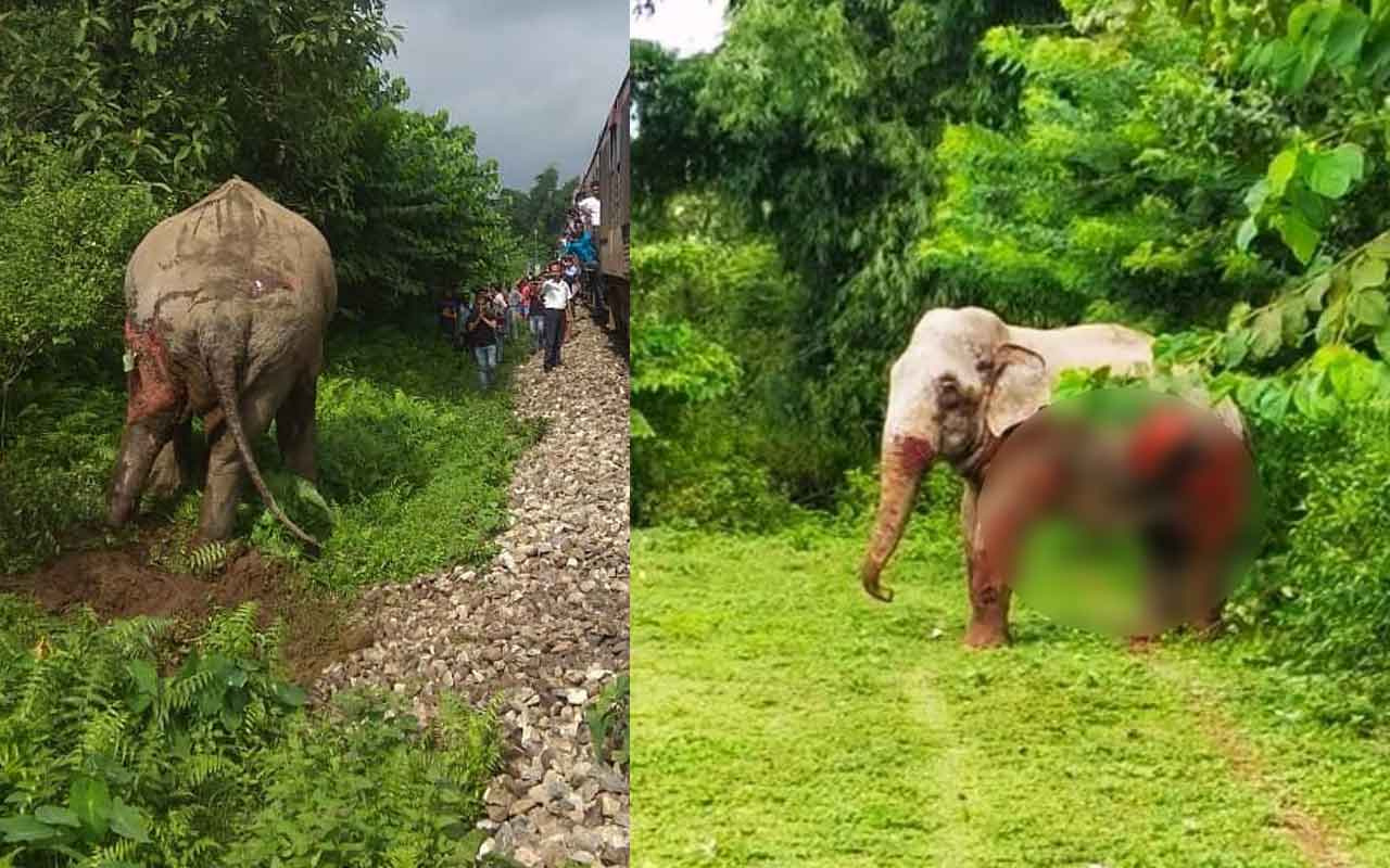 Hindistan’da tren file çarptı