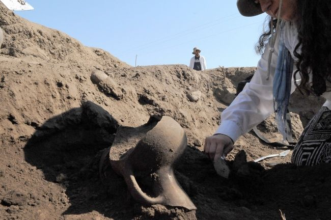 Norik Höyük'te atalarımız işte bundan yemiş! 3 bin yaşında