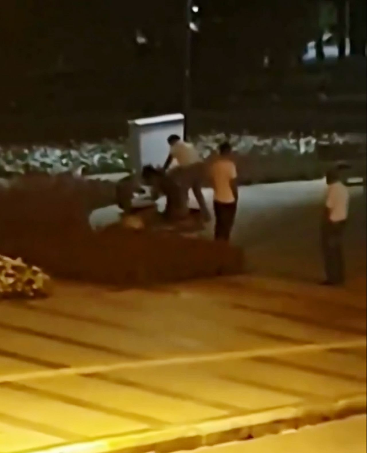 Antalya'da parkta bir kadın tekme tokat dövüldü! Onlar sadece izledi