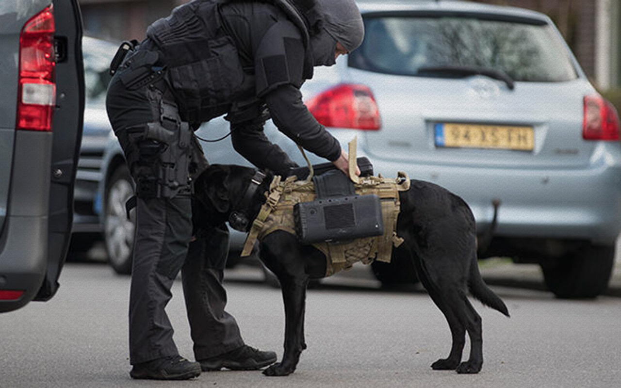 Hollanda'da ayakkabıları ve köpeği ile camiye baskın yapan polise tepki