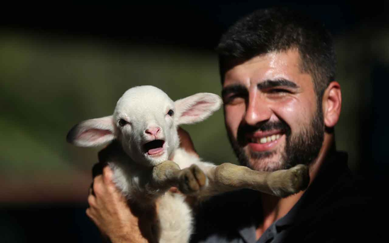 Ekonometris çobanın sıra dışı yaşamı