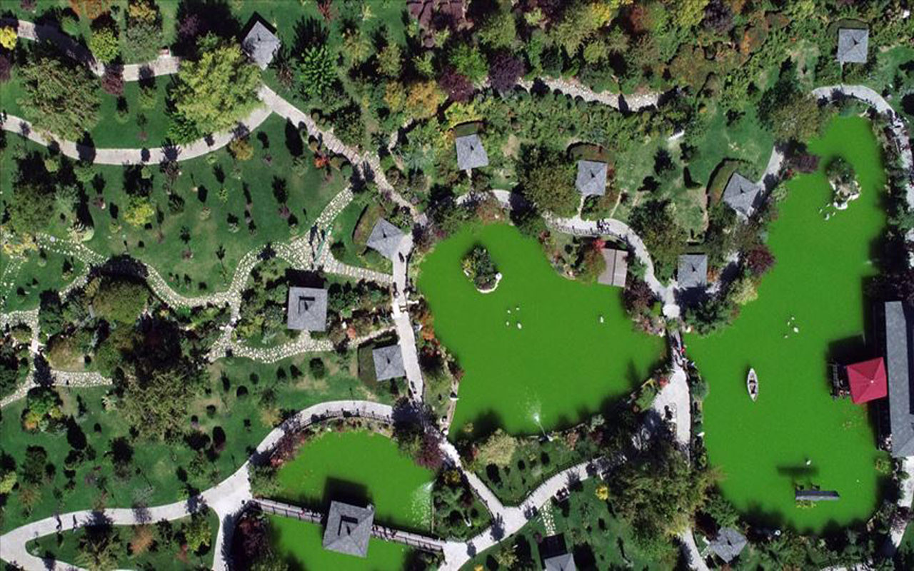 Japonya'daymış hissi uyandırıyor ama bu park Konya'da