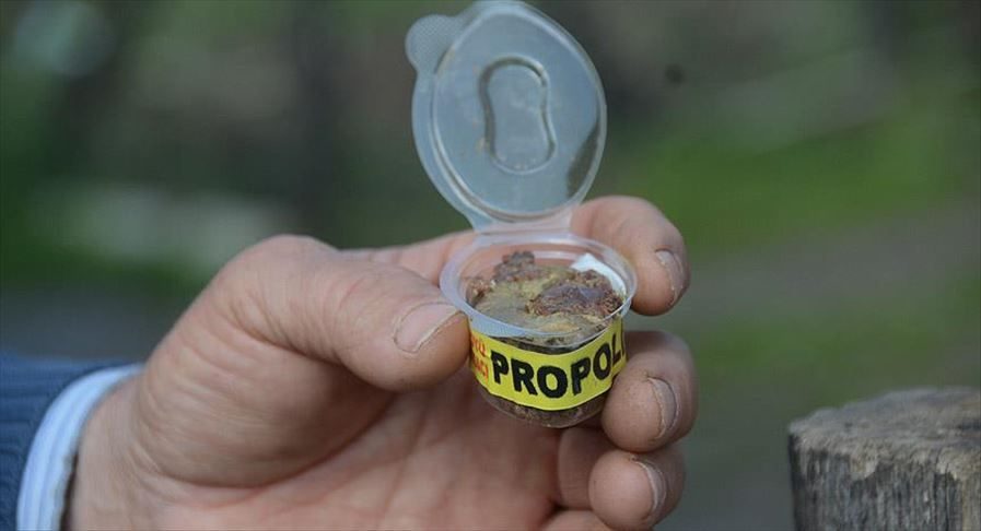 Samancı'dan çarpıcı iddia: Dünya piyasalarındaki propolisin yüzde 90'ı sahte