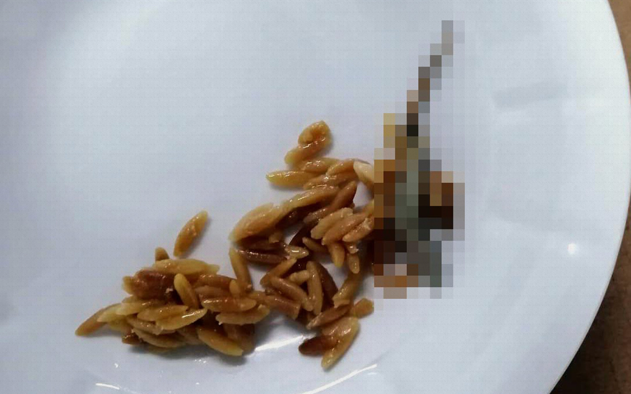 Kırıkkale'de hastane yemeğinde kertenkele iddiasına inceleme