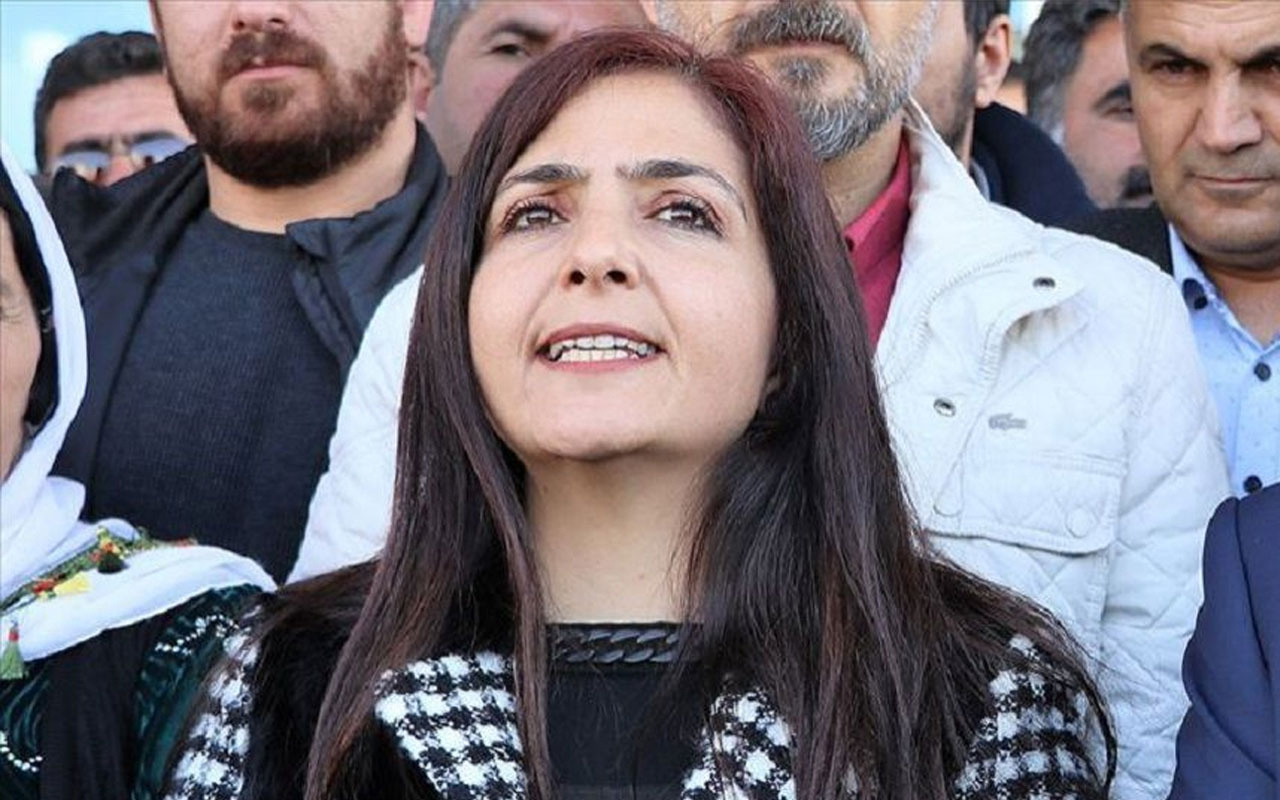 Görevden alınan HDP eski Van Belediye Başkanı Ertan'a 30 yıl hapis istemi
