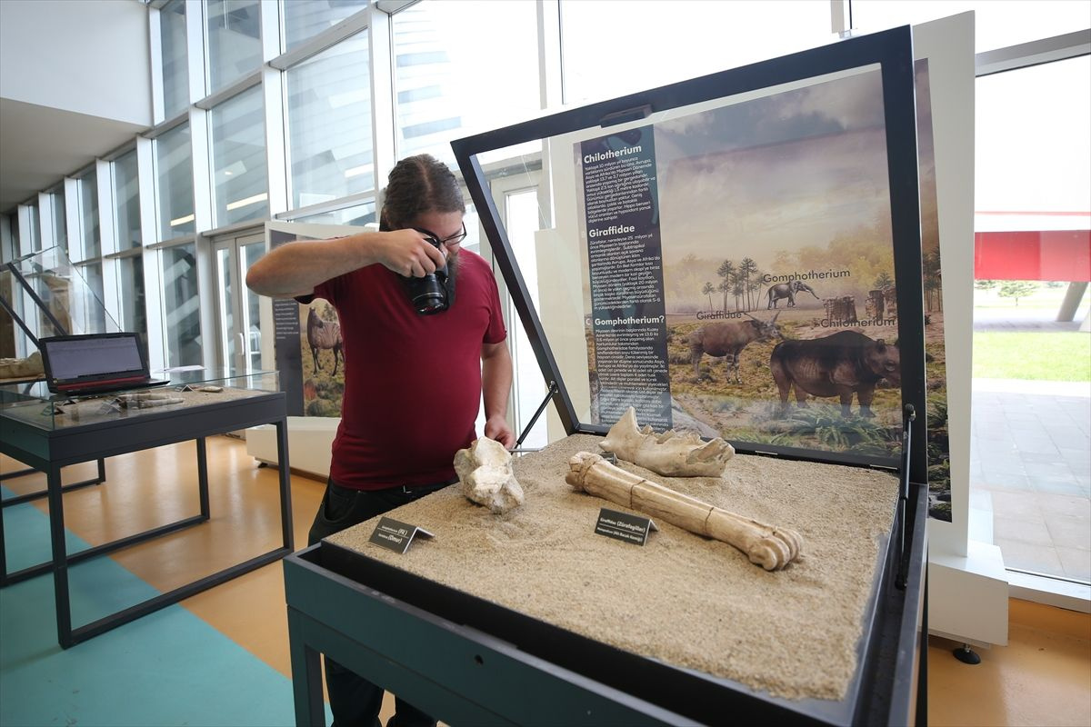 Kayseri'de mamut bulundu! Arkeoloji dünyanın ilgisini çekti