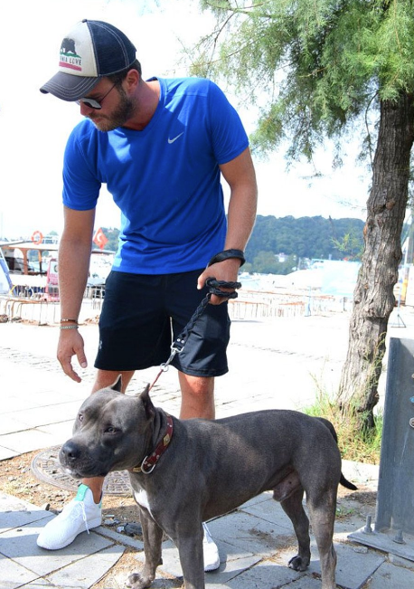 Yıllardır baktığı köpeğinin hastalığı belli oldu Kıvanç Tatlıtuğ yıkıldı