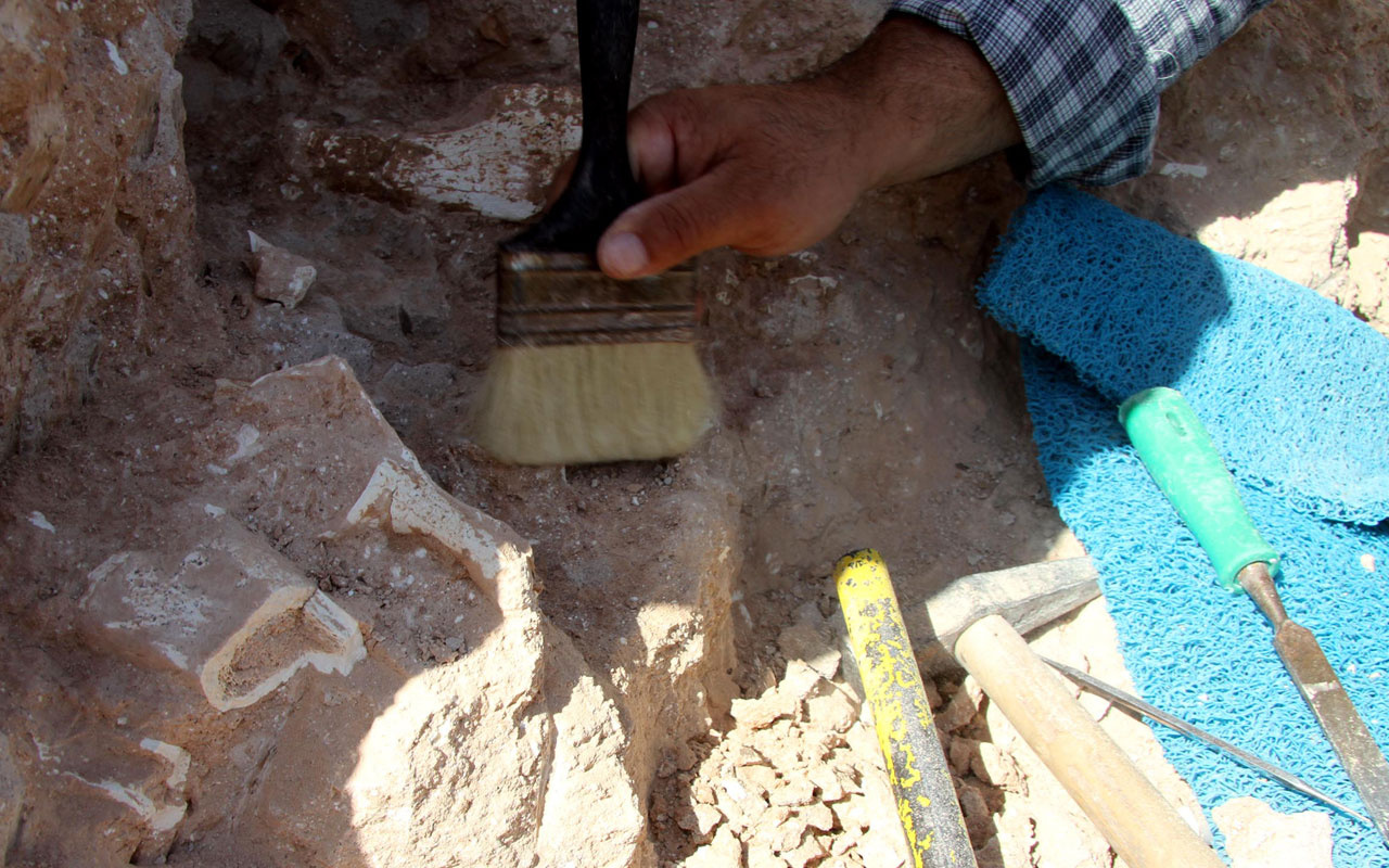 Kayseri'de bulunanlar 8 milyon yıllık çıktı diş ve çene kalıntılarına ulaşıldı