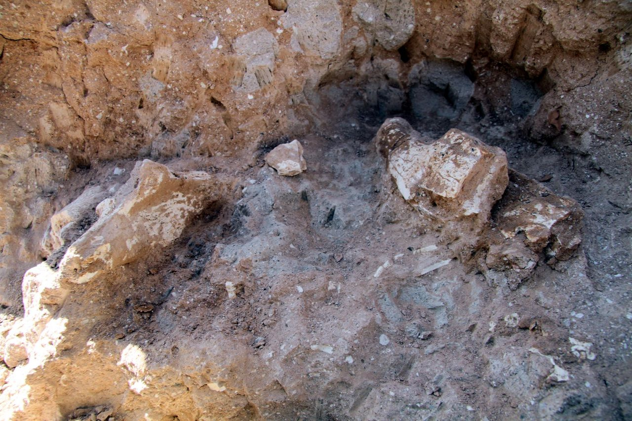 Kayseri'de bulunanlar 8 milyon yıllık çıktı diş ve çene kalıntılarına ulaşıldı