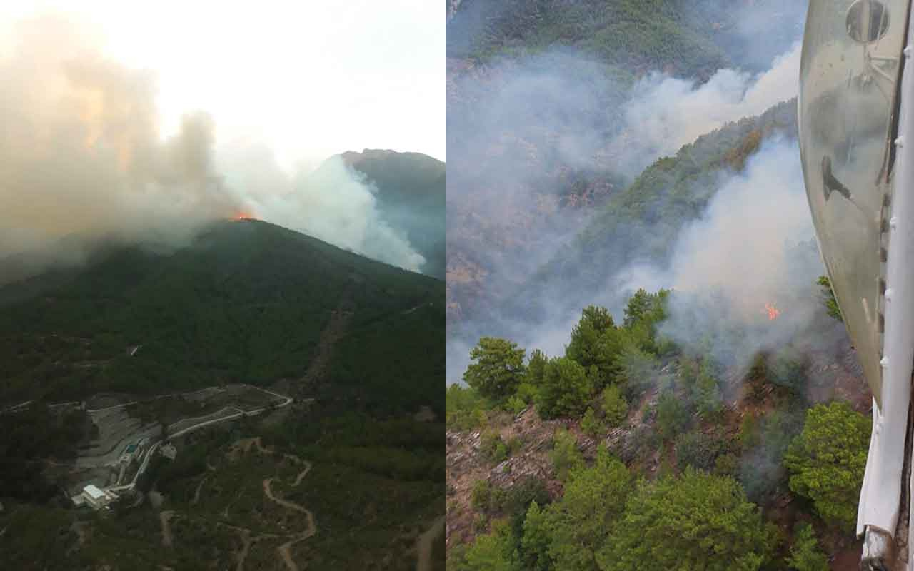 Mersin Anamur'da orman yangını