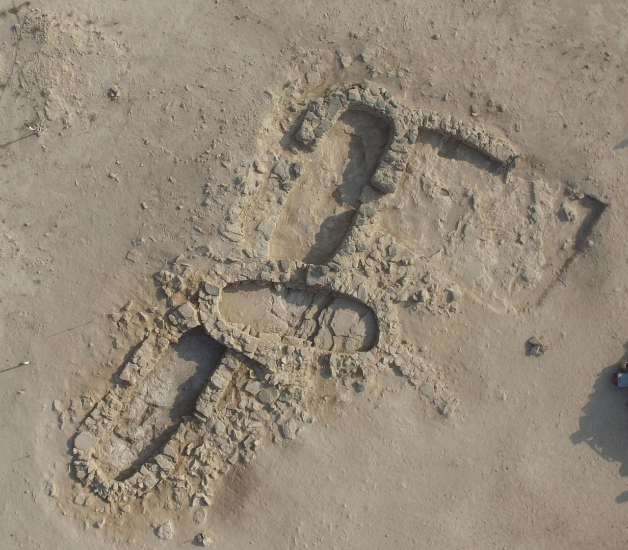 Dünyanın en eski doğal incisi' Abu Dabi'de bulundu! 8 bin yaşında