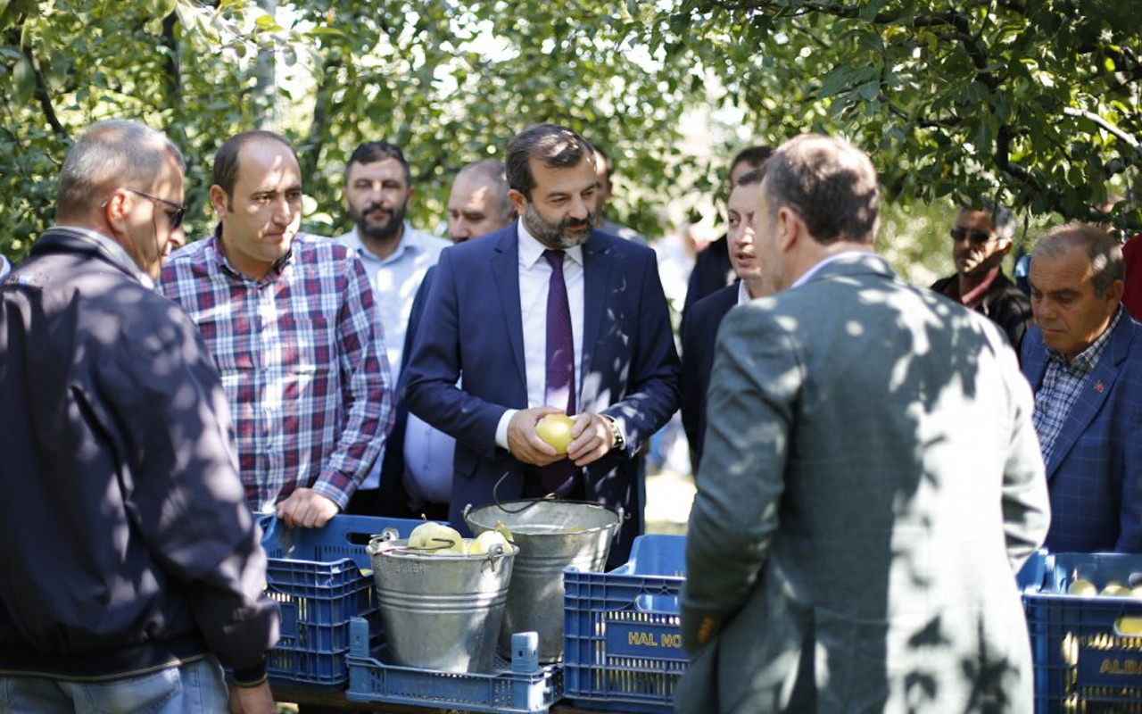 Kadına Şiddet konusuna 'Elimiz armut topluyor" sloganıyla dikkat çektiler