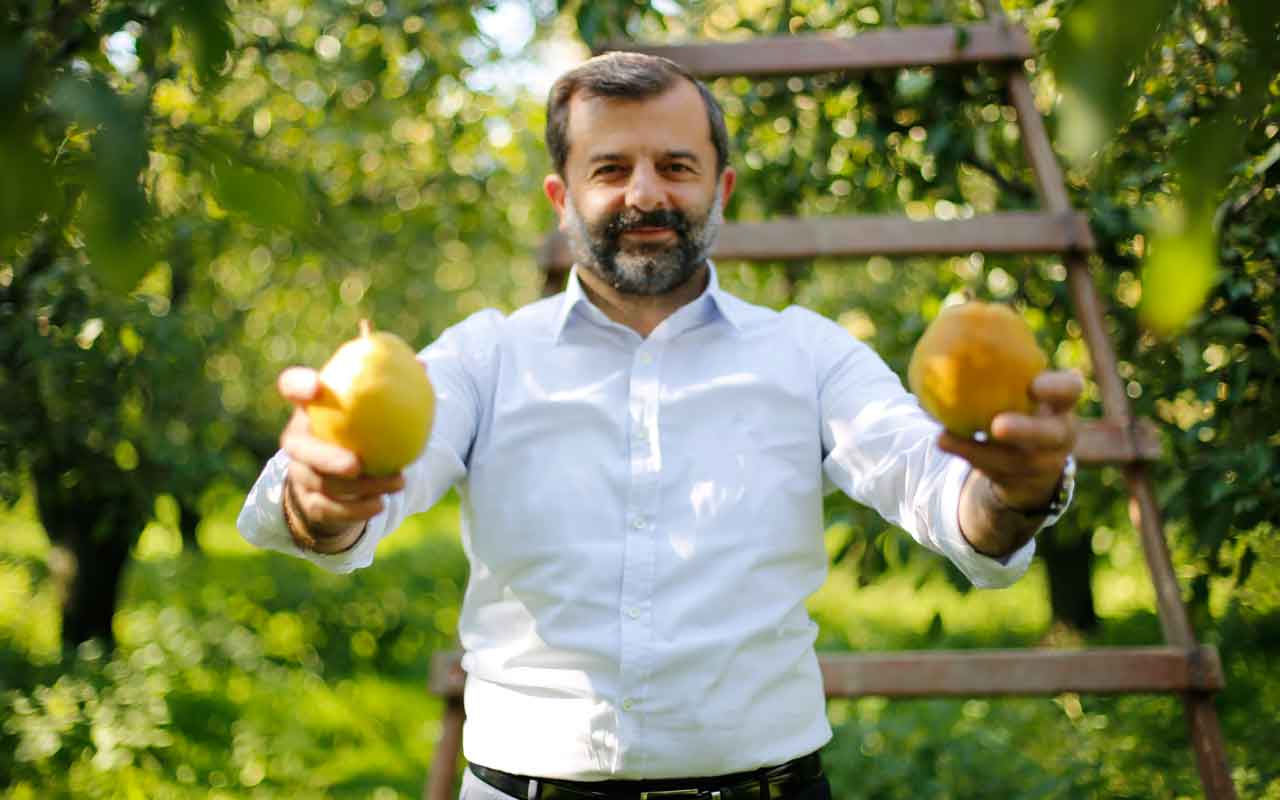 Kadına şiddete dikkat çektiler, Belediye Başkanı ve muhtarlar armut topladı