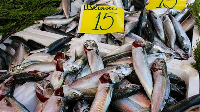 Aralık ayında hangi balık yenilir en lezzetli balık tarifleri