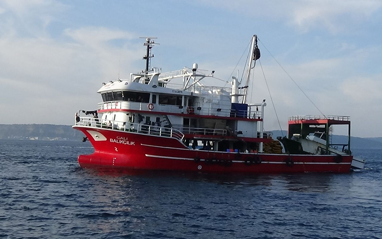Çanakkale'de yakalanan yarım tonluk pervane balığı şaşırttı