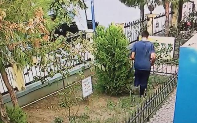 İzmir Karşıyaka'da bir kişi yavru kediyi tekmeleyerek öldürdü